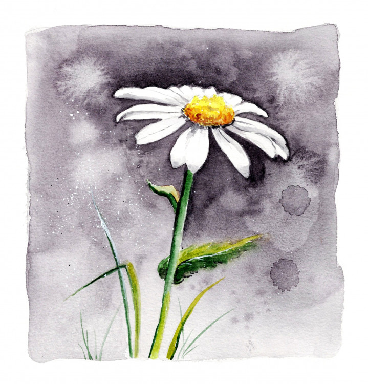 Aquarell-Workshop für Einsteiger "Blumen und Blüten 2" 17.03.25