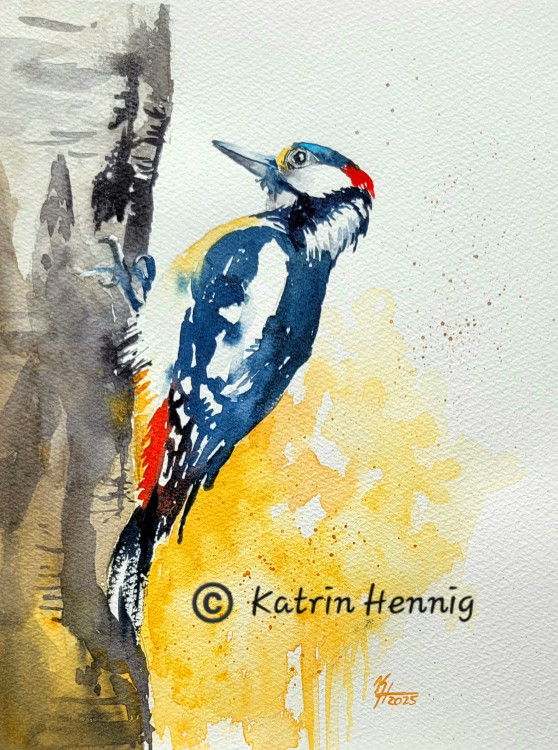 Aquarell-Kurzworkshop "Specht" 14.07.25, 18.15 Uhr