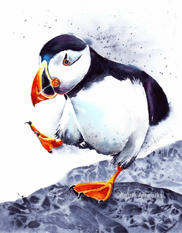 Spezialdruck "Dancing Puffin" 15x20 cm