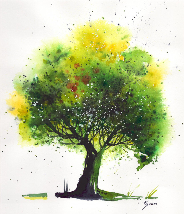 Aquarell "Grünbaum" 24x30 cm