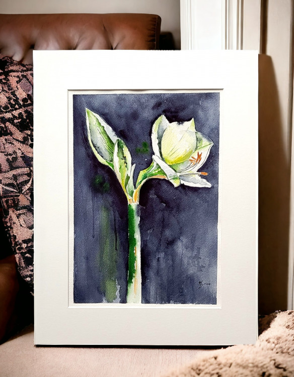 Aquarell "Amaryllis" A4