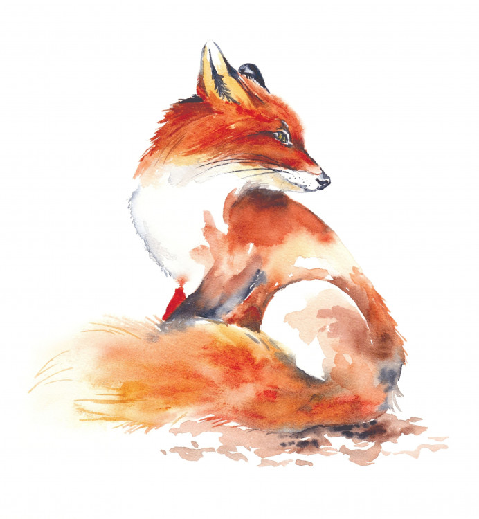 Aquarell-Kurzworkshop "Fuchs" 18.06.25, 18.15 Uhr