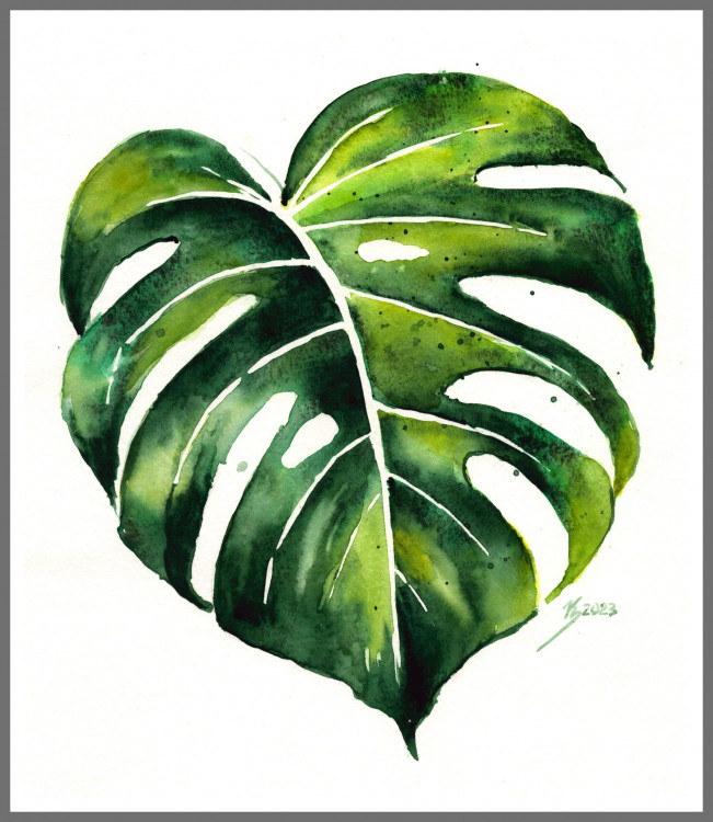 Aquarell "Monstera" 20x25 cm