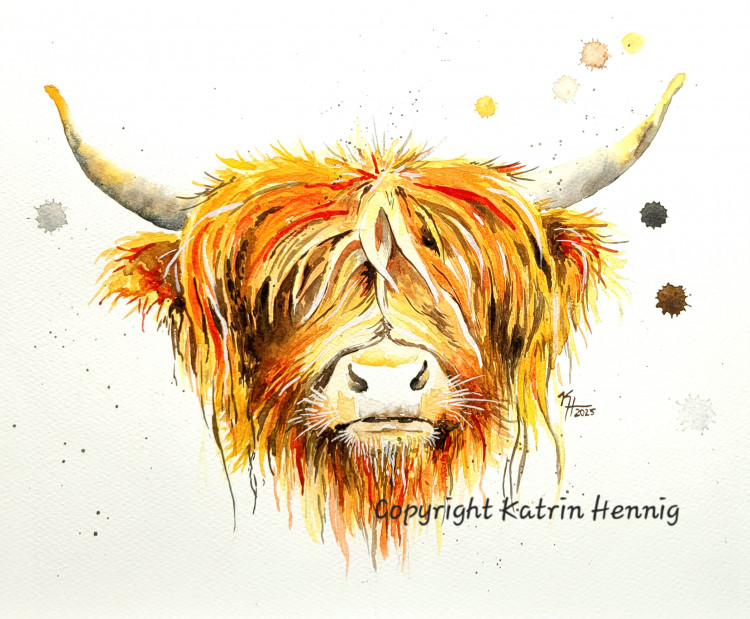 Aquarell-Workshop "Scot" 30.06.25 ab 18.30 Uhr