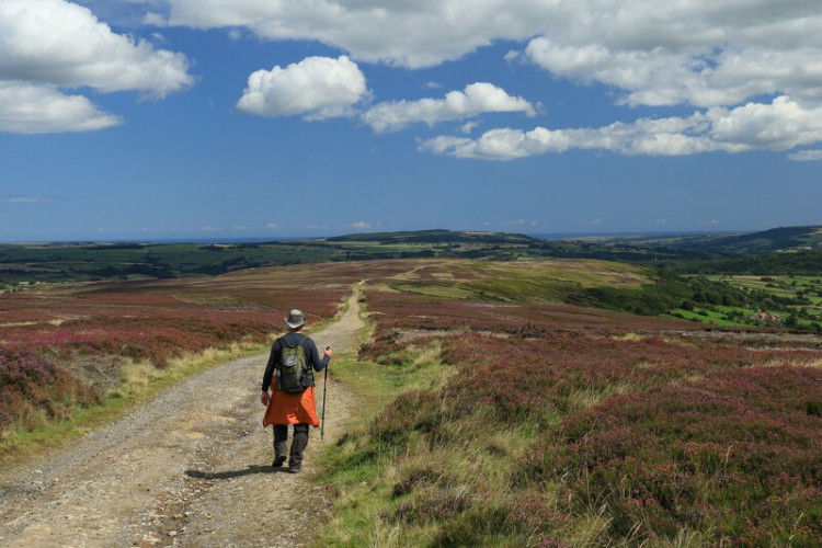 Himmelhoch jauchzend - knietief im Moor: Auf dem Coast to Coast Trail 300 km durch England