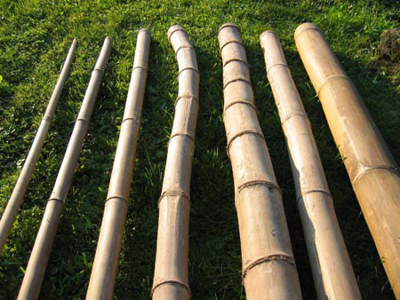 Stange Bambusrohr