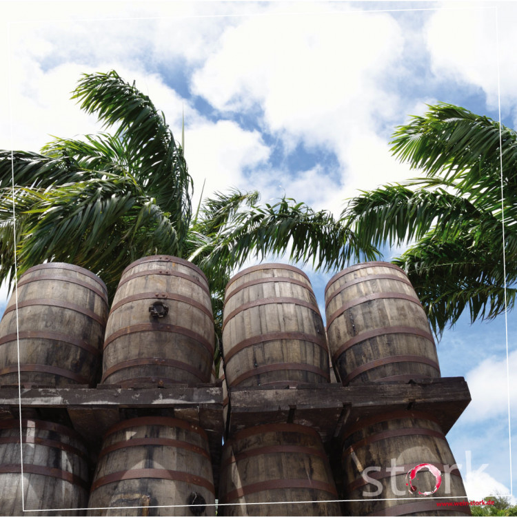 Gute Geister: Rum